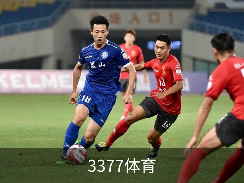 3377体育简介